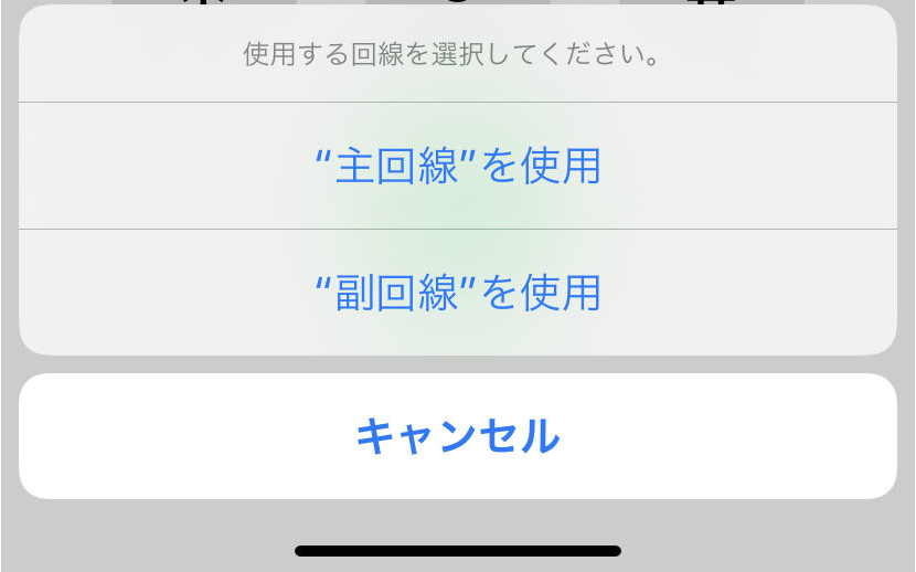 【大人気】楽天モバイルと日本通信の290円プランを併用する人気の方法と設定手順まとめ linemo-iphone-dual-sim-01